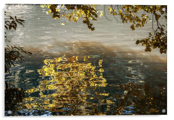 Liquid Gold Acrylic by Christine Lake