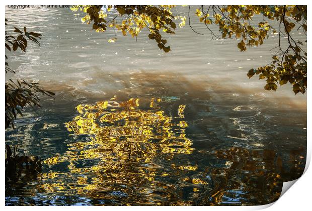 Liquid Gold Print by Christine Lake