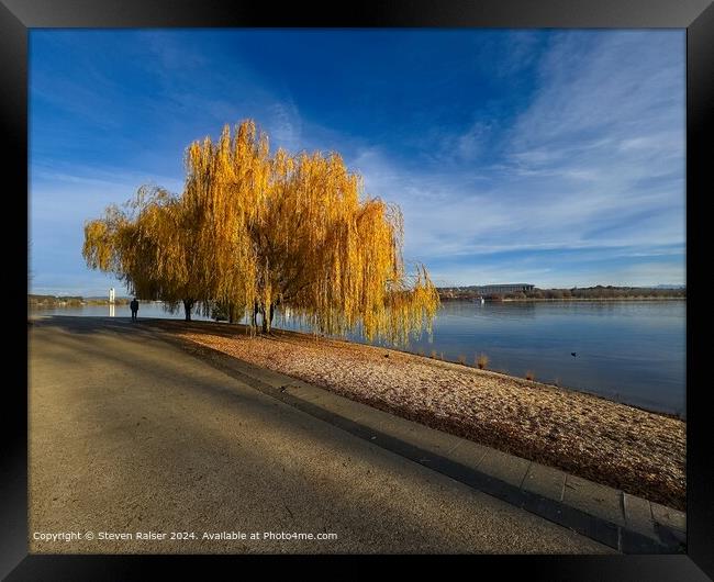 Lake Burley Griffin 1, Canberra, Australia Framed Print by Steven Ralser