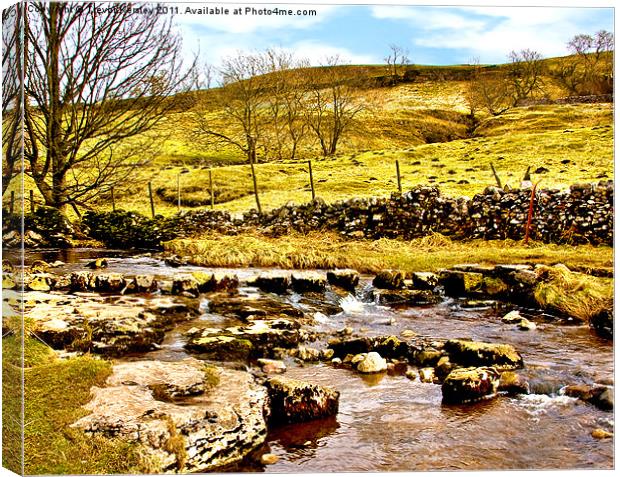 Cray Gill Stepping Stones Canvas Print by Trevor Kersley RIP