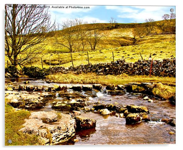 Cray Gill Stepping Stones Acrylic by Trevor Kersley RIP