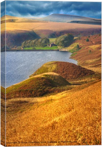 Wessenden Reservoir  Canvas Print by Alison Chambers