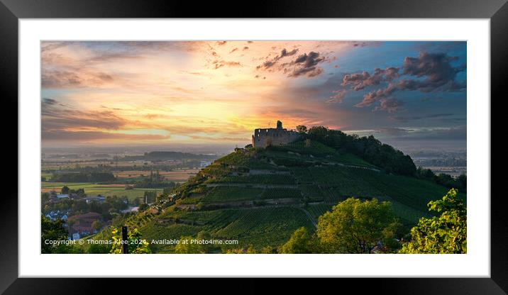 The old castle ruins in Staufen im Breisgau in the Black Forest at sunset Framed Mounted Print by Thomas Klee