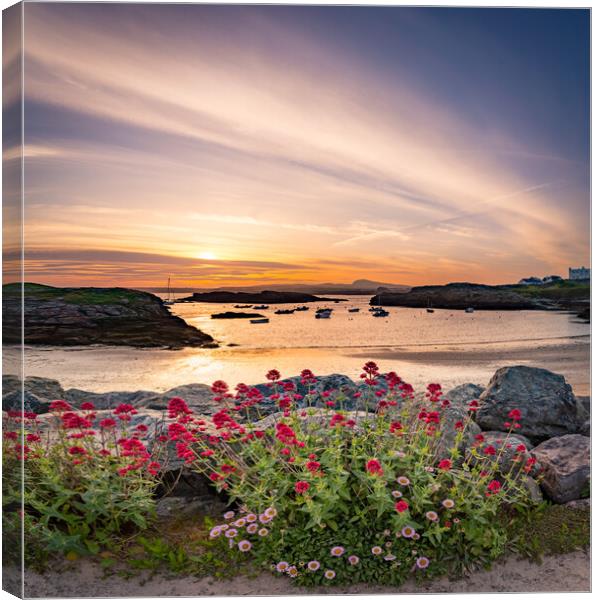 Sunset and flowers  at Trearddur Bay  Canvas Print by Gail Johnson