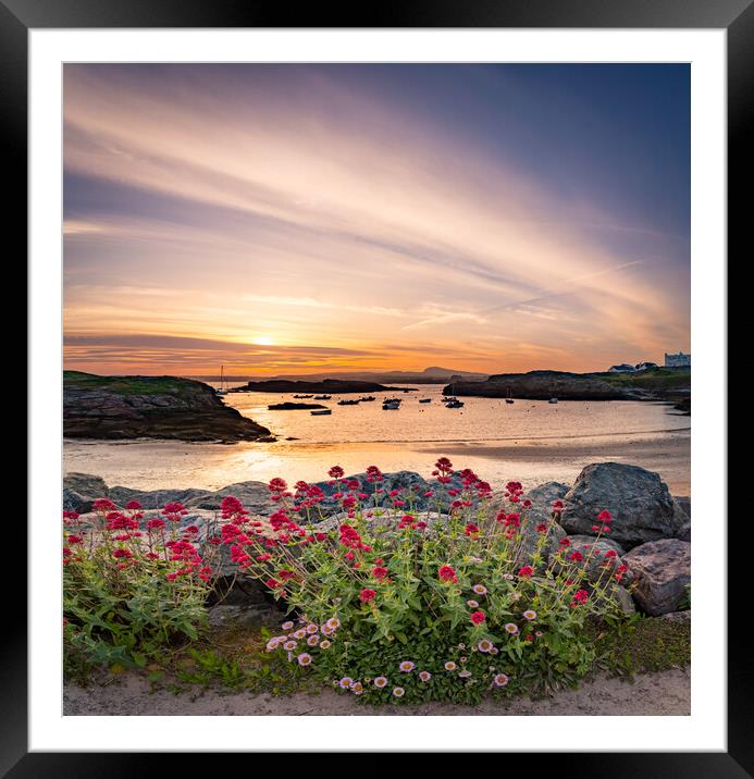 Sunset and flowers  at Trearddur Bay  Framed Mounted Print by Gail Johnson