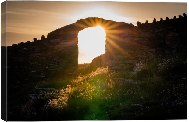 Sunset and flowers  at Trearddur Bay  Canvas Print by Gail Johnson