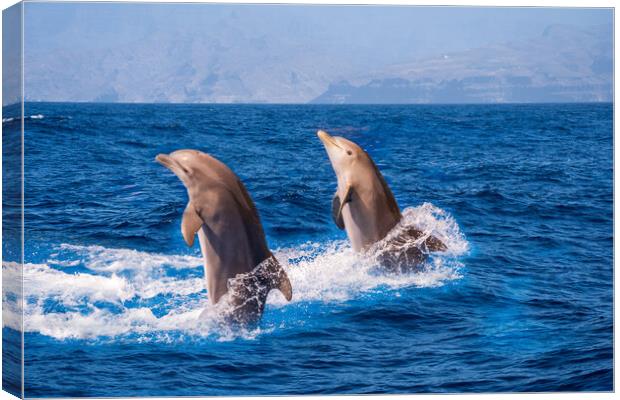 Dolphins jumping  Canvas Print by Arpan Bhatia