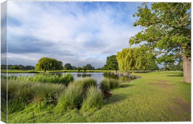 Oasis in the middle of Surrey Canvas Print by Kevin White