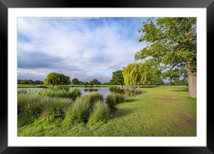 Oasis in the middle of Surrey Framed Mounted Print by Kevin White