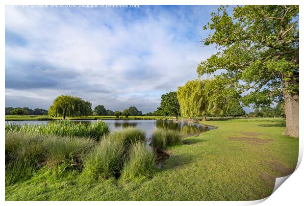 Oasis in the middle of Surrey Print by Kevin White