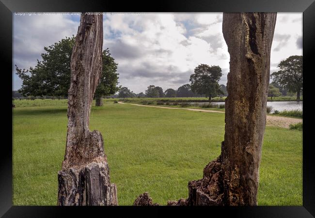 Wonders of nature using dead tree as a frame Framed Print by Kevin White