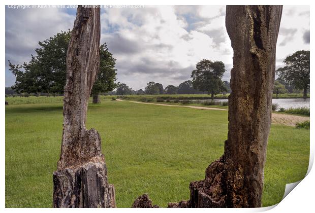 Wonders of nature using dead tree as a frame Print by Kevin White