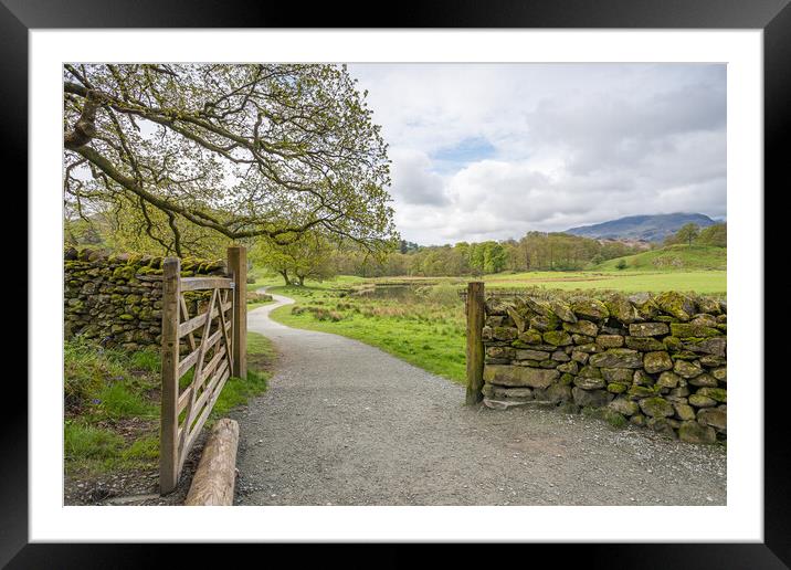 Gate between Elterwater and Skelwith Bridge Framed Mounted Print by Jason Wells