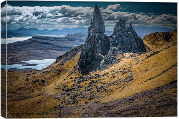 The Old Man of Storr on the Isle of Skye, Scotland Canvas Print by Andrew Briggs