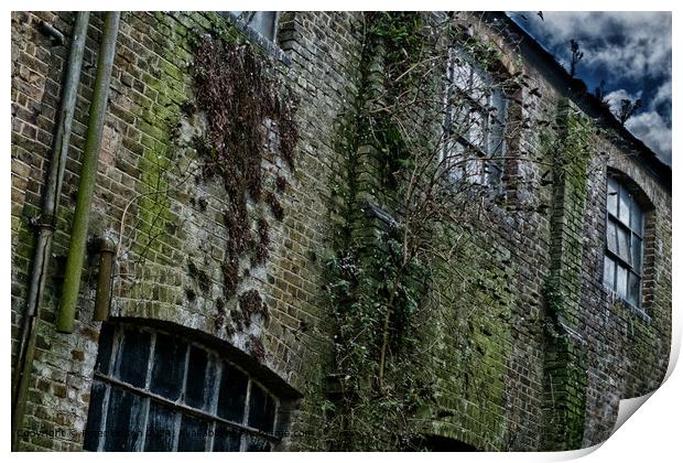 Detail of a condemned building during demolition a Print by Peter Bolton