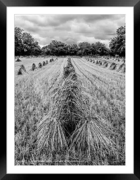 Harvest time Framed Mounted Print by Kevin Wailes