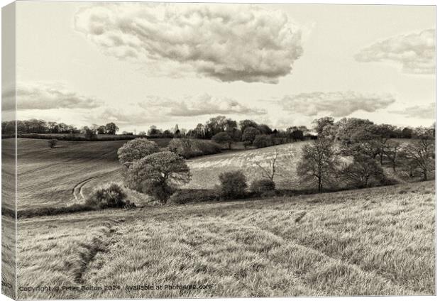 Rural landscape processed in vintage style at Downham, Essex. Canvas Print by Peter Bolton