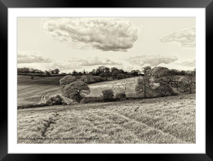 Rural landscape processed in vintage style at Downham, Essex. Framed Mounted Print by Peter Bolton