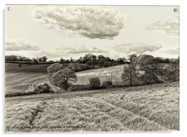 Rural landscape processed in vintage style at Downham, Essex. Acrylic by Peter Bolton