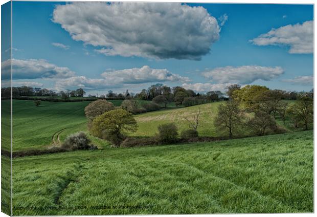 Rural landscape nr. Downham, Essex. Canvas Print by Peter Bolton