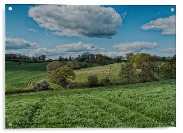 Rural landscape nr. Downham, Essex. Acrylic by Peter Bolton