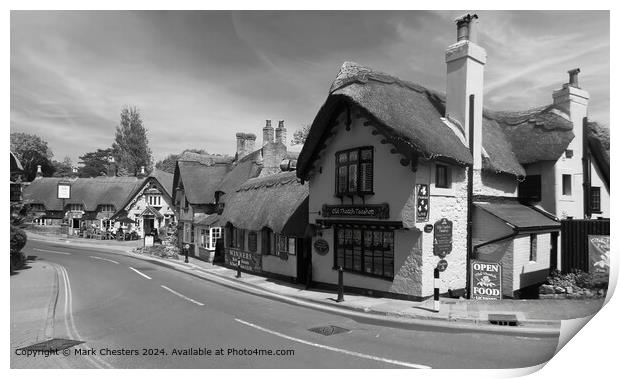 beautiful thatched tea room Black and White photo Print by Mark Chesters