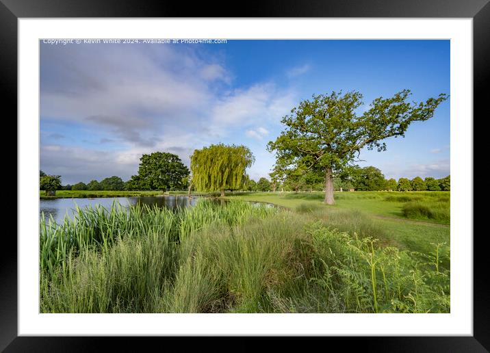 Wonderful colors of nature in summer Framed Mounted Print by Kevin White