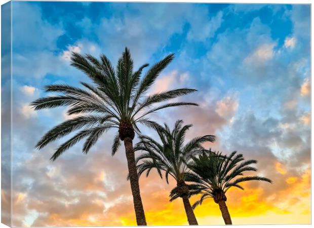 A beautiful palm tree in front of a dreamlike sky on Tenerife. Canvas Print by Michael Piepgras