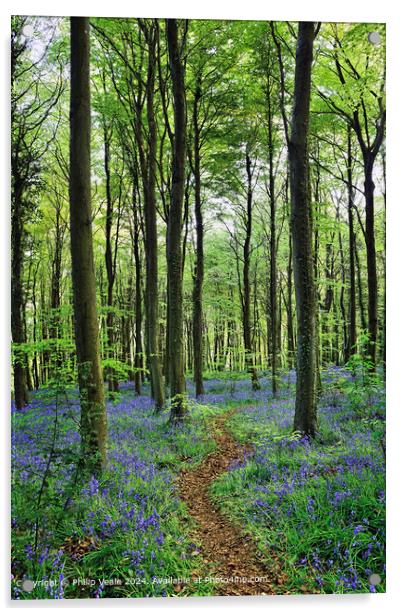 Footpath through the Bluebell Wood. Acrylic by Philip Veale