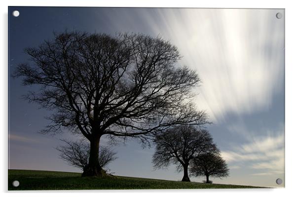Moonlit trees Acrylic by Pete Hemington