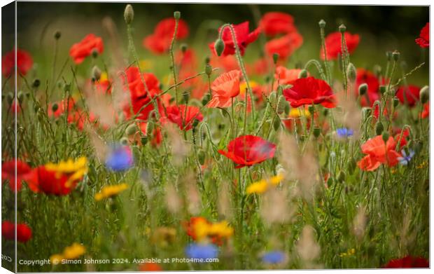 Sunlit  wind blown Poppys and meadow flowers  Cotswolds Gloucestershire  Canvas Print by Simon Johnson