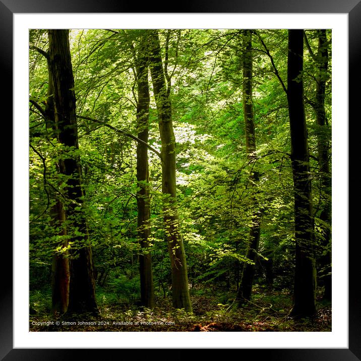 sunlit woodland, early morning sunlight in the woods Framed Mounted Print by Simon Johnson