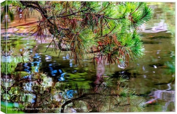 Colorful Pine Needles Green Blue Water Reflection Abstract Heian Shrine Kyoto Canvas Print by William Perry