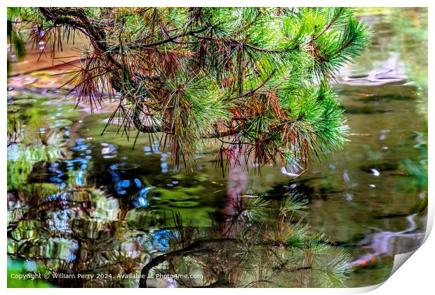 Colorful Pine Needles Green Blue Water Reflection Abstract Heian Shrine Kyoto Print by William Perry
