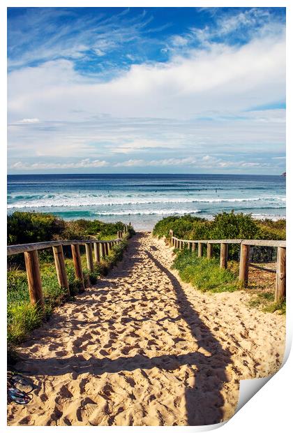 Pathway to beach Print by Kevin Hellon