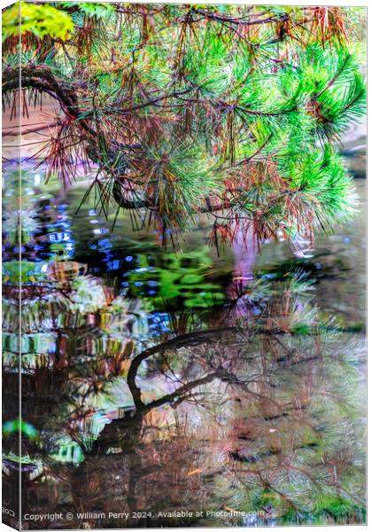 Colorful Kyoto Water Reflection Abstract Lake Heian Shrine Kyoto Japan Canvas Print by William Perry