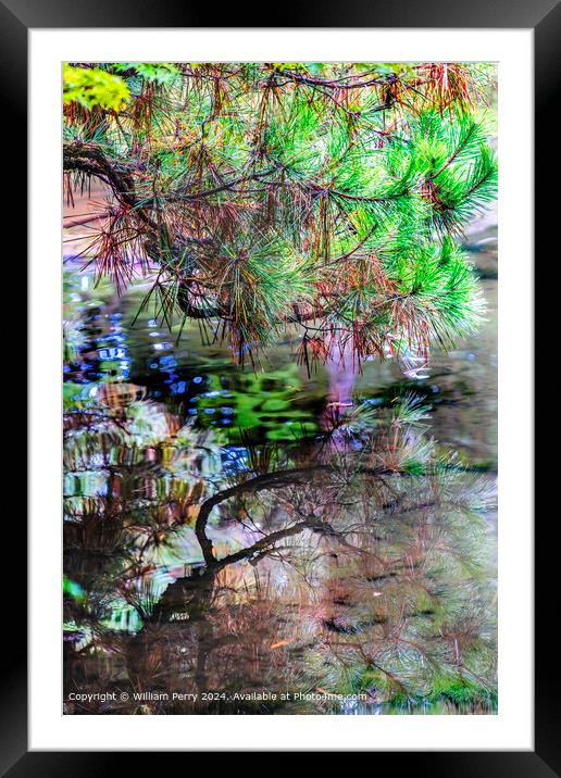 Colorful Kyoto Water Reflection Abstract Lake Heian Shrine Kyoto Japan Framed Mounted Print by William Perry