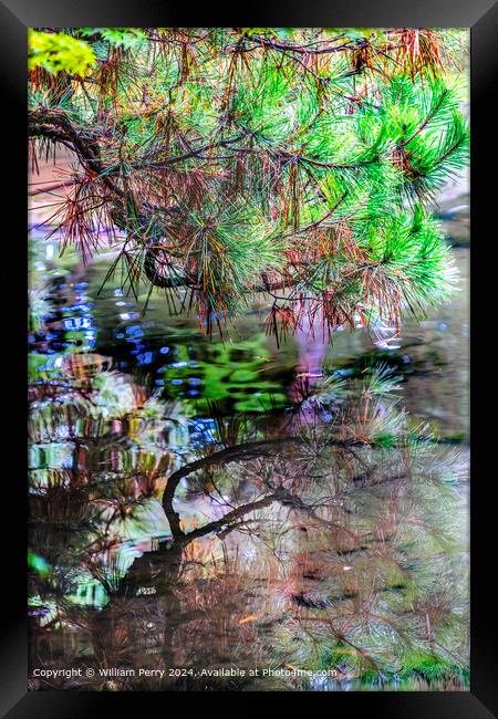 Colorful Kyoto Water Reflection Abstract Lake Heian Shrine Kyoto Japan Framed Print by William Perry