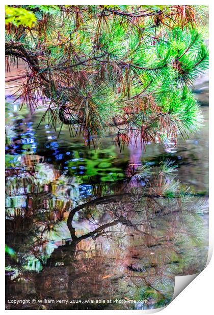 Colorful Kyoto Water Reflection Abstract Lake Heian Shrine Kyoto Japan Print by William Perry