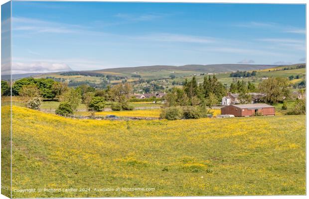 Mickleton Buttercups Canvas Print by Richard Laidler