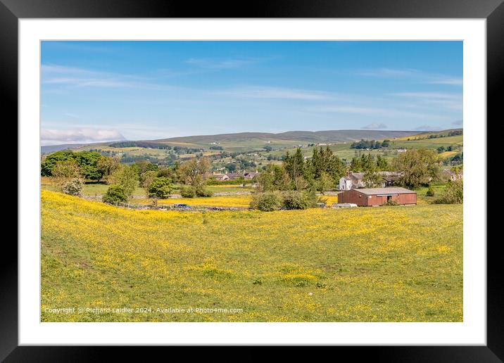 Mickleton Buttercups Framed Mounted Print by Richard Laidler