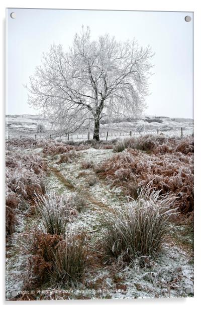 Ice covered tree on Llangynidr Moors. Acrylic by Philip Veale