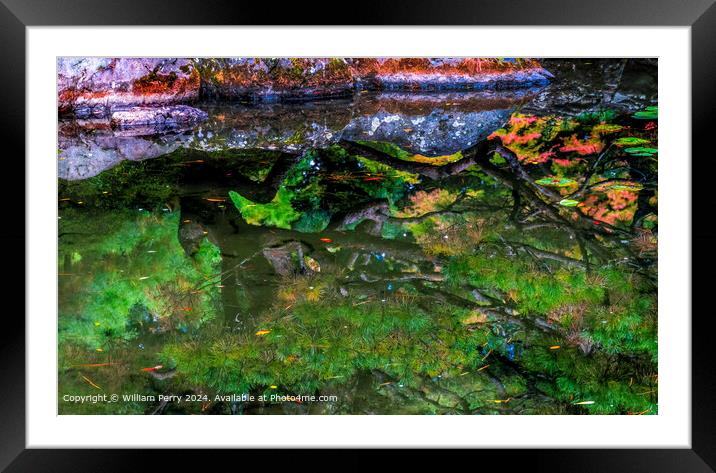 Colorful Autumn Leaves Water Reflection Abstract Lake Garden Heian Shrine Kyoto Japan Framed Mounted Print by William Perry