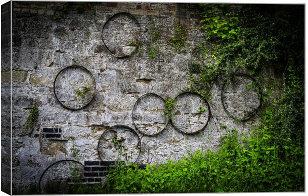 Wall Hoops Canvas Print by Alan Sinclair