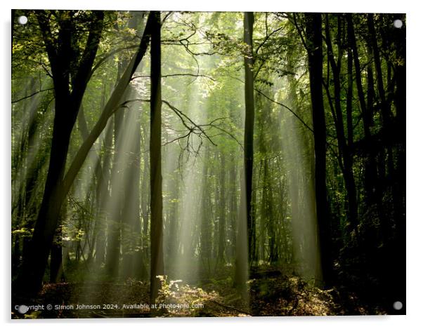 dawn sunlight and rays through a beech woodland  Acrylic by Simon Johnson
