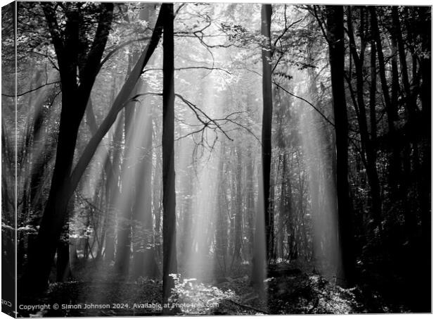 sunlit woodland withearly morning shafts of light Canvas Print by Simon Johnson
