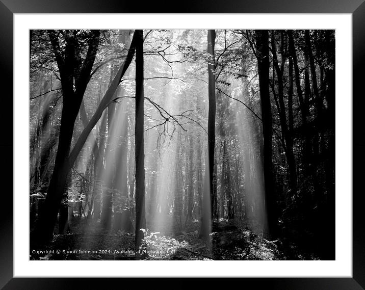 sunlit woodland withearly morning shafts of light Framed Mounted Print by Simon Johnson