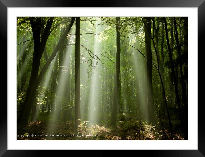 sunlit woodland with early morning shafts of light Framed Mounted Print by Simon Johnson