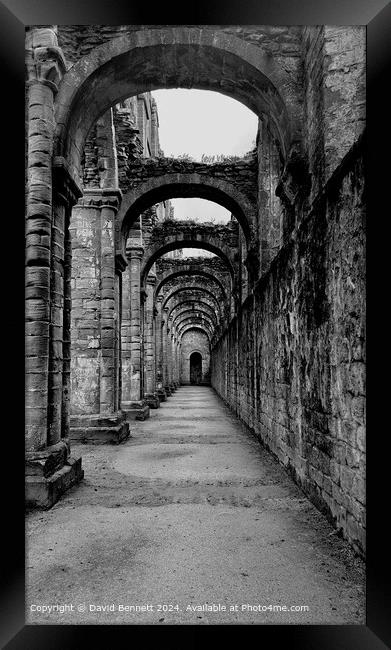 Black and White Fountains Abbey Framed Print by David Bennett