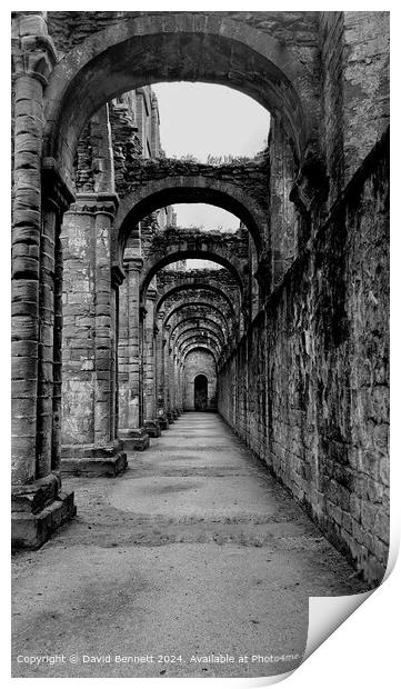 Black and White Fountains Abbey Print by David Bennett